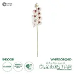 GloboStar® Artificial Garden WHITE ORCHID BRANCH 21406 Τεχνητό Διακοσμητικό Κλαδί Λευκή Ορχιδέα Y95cm