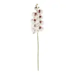 GloboStar® Artificial Garden WHITE ORCHID BRANCH 21406 Τεχνητό Διακοσμητικό Κλαδί Λευκή Ορχιδέα Y95cm - Image 2