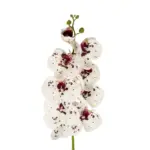 GloboStar® Artificial Garden WHITE ORCHID BRANCH 21406 Τεχνητό Διακοσμητικό Κλαδί Λευκή Ορχιδέα Y95cm - Image 3