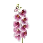 GloboStar® Artificial Garden PINK ORCHID BRANCH 21407 Τεχνητό Διακοσμητικό Κλαδί Ροζ Ορχιδέα Y95cm - Image 3