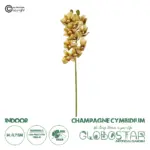 GloboStar® Artificial Garden CHAMPAGNE CYMBIDIUM BRANCH 21408 Τεχνητό Διακοσμητικό Κλαδί Σαμπανί Κυμβίδιο  Y75cm