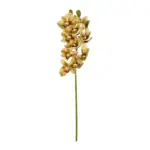GloboStar® Artificial Garden CHAMPAGNE CYMBIDIUM BRANCH 21408 Τεχνητό Διακοσμητικό Κλαδί Σαμπανί Κυμβίδιο  Y75cm - Image 2