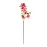 GloboStar® Artificial Garden CHAMPAGNE PINK ORCHID  BRANCH 21411 Τεχνητό Διακοσμητικό Κλαδί Σαμπανί Ορχιδέα Y70cm - Image 2