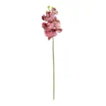 GloboStar® Artificial Garden  PINK ORCHID  BRANCH 21412 Τεχνητό Διακοσμητικό Κλαδί Ροζ Ορχιδέα Y70cm - Image 2