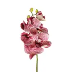 GloboStar® Artificial Garden  PINK ORCHID  BRANCH 21412 Τεχνητό Διακοσμητικό Κλαδί Ροζ Ορχιδέα Y70cm - Image 3