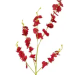 GloboStar® Artificial Garden RED DANCE ORCHID BRANCH 21413 Τεχνητό Διακοσμητικό Κλαδί Κόκκινη Ορχιδέα Y90cm - Image 3