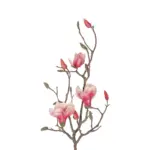 GloboStar® Artificial Garden WHITE - PINK MAGNOLIA 21416 Τεχνητό Διακοσμητικό Κλαδί Ροζ Μανόλια Μ30 x Π13 x Υ110cm - Image 3