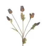 GloboStar® Artificial Garden POPPY FRUIT BRANCH 21432 Τεχνητό Διακοσμητικό Κλαδί Παπαρούνα Y62cm - Image 3
