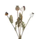 GloboStar® Artificial Garden POPPY FRUIT BRANCH 21433 Τεχνητό Διακοσμητικό Κλαδί Παπαρούνα Y60cm - Image 3