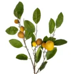 GloboStar® Artificial Garden YELLOW LEMON FRUIT BRANCH 21437 Τεχνητό Διακοσμητικό Κίτρινο Κλαδί Πορτακαλιά Y80cm - Image 3