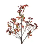 GloboStar® Artificial Garden BROWN BERRIES FRUIT BRANCH 21444 Τεχνητό Διακοσμητικό Κλαδί Κάφε Γκί Y94cm - Image 3