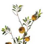 GloboStar® Artificial Garden YELLOW POMEGRANATE  FRUIT BRANCH 21445 Τεχνητό Διακοσμητικό Κίτρινη Κλαδί Ροδιά Y85cm - Image 3