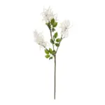 GloboStar® Artificial Garden WHITE AMARANTHUS FRUIT BRANCH 21447 Τεχνητό Διακοσμητικό Κλαδί Λευκός Αμάρανθος Y95cm - Image 2