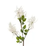 GloboStar® Artificial Garden WHITE AMARANTHUS FRUIT BRANCH 21447 Τεχνητό Διακοσμητικό Κλαδί Λευκός Αμάρανθος Y95cm - Image 3