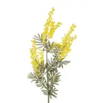 GloboStar® Artificial Garden YELLOW MIMOSA FRUIT BRANCH 21451 Τεχνητό Διακοσμητικό Κλαδί Κίτρινη Μιμόζα Y76cm - Image 3