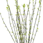 GloboStar® Artificial Garden GREEN WILLOW FLOWER BRANCH 21458 Τεχνητό Διακοσμητικό Κλαδί Λευκή Ιτιά Y86cm - Image 3