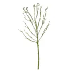 GloboStar® Artificial Garden BIG SPROUT BLOSSOM BRANCH 21461 Τεχνητό Διακοσμητικό Κλαδί Πράσινο Λάχανο Y150cm - Image 2