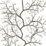 GloboStar® Artificial Garden SMALL CORAL 21463 Τεχνητό Διακοσμητικό Κλαδί Καφέ Μ40 x Π7 x Υ142cm - Image 3