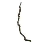 GloboStar® Artificial Garden VINE BRANCH 21465 Τεχνητό Διακοσμητικό Κλαδί Αμπελιού Y170cm - Image 2