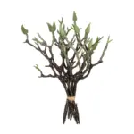 GloboStar® Artificial Garden GREEN ORCHID BOUQET 21466 Τεχνητό Διακοσμητικό Μπουκέτο Πράσινη Ορχιδέα Y34cm - Image 2