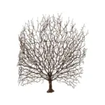 GloboStar® Artificial Garden BROWN CORAL BRANCH 21467 Τεχνητό Διακοσμητικό Κλαδί Καφέ Koράλι Y49cm - Image 2