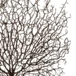 GloboStar® Artificial Garden BROWN CORAL BRANCH 21467 Τεχνητό Διακοσμητικό Κλαδί Καφέ Koράλι Y49cm - Image 3