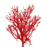 GloboStar® Artificial Garden RED CORAL BRANCH 21468 Τεχνητό Διακοσμητικό Κλαδί Κόκκινο Koράλι Y35cm - Image 3