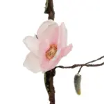 GloboStar® Artificial Garden MAGNOLIA FLOWER VINE 21469 Τεχνητό Διακοσμητικό Κλαδί Μανόλιας Y180cm - Image 4