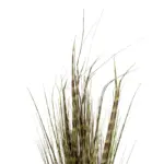 GloboStar® Artificial Garden ZEBRA GRASS 21482 Τεχνητό Διακοσμητικό Φυτό Ζέμπρα  Υ85cm - Image 3