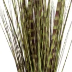 GloboStar® Artificial Garden ZEBRA GRASS 21482 Τεχνητό Διακοσμητικό Φυτό Ζέμπρα  Υ85cm - Image 4