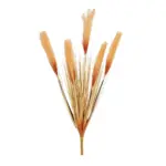 GloboStar® Artificial Garden ORANGE PAMPAS GRASS BRANCH 21486 Τεχνητό Διακοσμητικό Κλαδί Πορτοκαλί Πάμπας Y88cm - Image 2