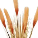 GloboStar® Artificial Garden ORANGE PAMPAS GRASS BRANCH 21486 Τεχνητό Διακοσμητικό Κλαδί Πορτοκαλί Πάμπας Y88cm - Image 3