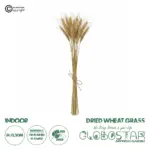 GloboStar® Artificial Garden REAL DRIED WHEAT GRASS 21488 Τεχνητό Διακοσμητικό Κλαδί Σιταριού Y30cm - Σετ 10 τμχ