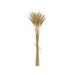 GloboStar® Artificial Garden REAL DRIED WHEAT GRASS 21488 Τεχνητό Διακοσμητικό Κλαδί Σιταριού Y30cm - Σετ 10 τμχ - Image 2