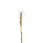 GloboStar® Artificial Garden REAL DRIED WHEAT GRASS 21488 Τεχνητό Διακοσμητικό Κλαδί Σιταριού Y30cm - Σετ 10 τμχ - Image 3