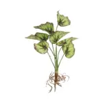 GloboStar® Artificial Garden BEGONIA LEAVES ROOTED 21491 Τεχνητό Διακοσμητικό Φυτό Πολύχρωμη Βιγόνια Μ25 x Π14 x Υ35cm - Image 2