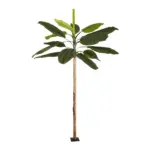 GloboStar® Artificial Garden BANANA TREE 21501 Τεχνητό Διακοσμητικό Δέντρο Μπανανιάς Υ400cm - Image 2
