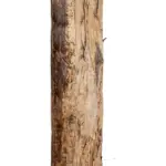 GloboStar® Artificial Garden BANANA TREE 21501 Τεχνητό Διακοσμητικό Δέντρο Μπανανιάς Υ400cm - Image 6