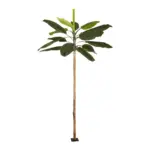 GloboStar® Artificial Garden BANANA TREE 21502 Τεχνητό Διακοσμητικό Δέντρο Μπανανιάς Υ500cm - Image 2