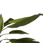 GloboStar® Artificial Garden BANANA TREE 21502 Τεχνητό Διακοσμητικό Δέντρο Μπανανιάς Υ500cm - Image 5
