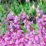 GloboStar® Artificial Garden PURPLE WISTERIA FLOWER BRANCH 21510 Σετ 12 Τεχνητά Διακοσμητικά κλαδιά Βιστέριας Μωβ Φ45 x Υ120cm - Image 4