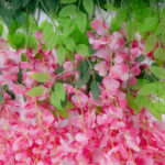 GloboStar® Artificial Garden HOT PINK WISTERIA FLOWER BRANCH 21512 Σετ 12 Τεχνητά Διακοσμητικά κλαδιά Βιστέριας Έντονο Ροζ Φ45 x Υ120cm - Image 4