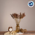 GloboStar® CYPERUS 36500 Αποξηραμένο Φυτό Κύπειρος - Μπουκέτο Διακοσμητικών Κλαδιών Μπεζ - Καφέ Υ60cm - Σετ 50 τμχ