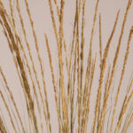 GloboStar® SMUTGRASS 36502 Αποξηραμένο Φυτό Χορταφιλιά - Μπουκέτο Διακοσμητικών Κλαδιών Μπεζ - Πράσινο Υ90cm - Σετ 100 τμχ - Image 2