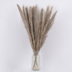 GloboStar® PAMPASGRASS 36511 Αποξηραμένο Φυτό Γρασίδι της Πάμπας - Μπουκέτο Διακοσμητικών Κλαδιών Καφέ - Γκρι Υ80cm - Σετ 10 τμχ - Image 3