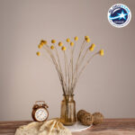 GloboStar® GRASPEDIA 36533 Αποξηραμένο Φυτό Κρασπέδια Φ3cm - Μπουκέτο Διακοσμητικών Κλαδιών Μπεζ - Κίτρινο Υ70cm - Σετ 20 τμχ