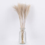 GLOBOSTAR® MISCANTHUS 36535 Αποξηραμένο Διακοσμητικό Μπουκέτο Μίσχανθος - Μπεζ - Μ20 x Π20 x Υ60cm - Πακέτο 20 Τεμαχίων - Image 3