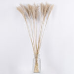 GLOBOSTAR® MISCANTHUS 36537 Αποξηραμένο Διακοσμητικό Μπουκέτο Μίσχανθος - Μπεζ - Μ20 x Π20 x Υ100cm - Πακέτο 20 Τεμαχίων - Image 3