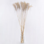 GloboStar® MISCANTHUS 36538 Αποξηραμένο Φυτό Μίσχανθος - Μπουκέτο Διακοσμητικών Κλαδιών Μπεζ Υ120cm - Σετ 10 τμχ - Image 3