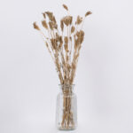 GloboStar® WILDCARROT 36546 Αποξηραμένο Φυτό Άγριο Καρότο - Μπουκέτο Διακοσμητικών Κλαδιών Μπεζ Υ60cm - Σετ 10 τμχ - Image 3